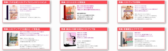 バストアップ成功のいろは|美乳・育乳で胸を大きくする方法